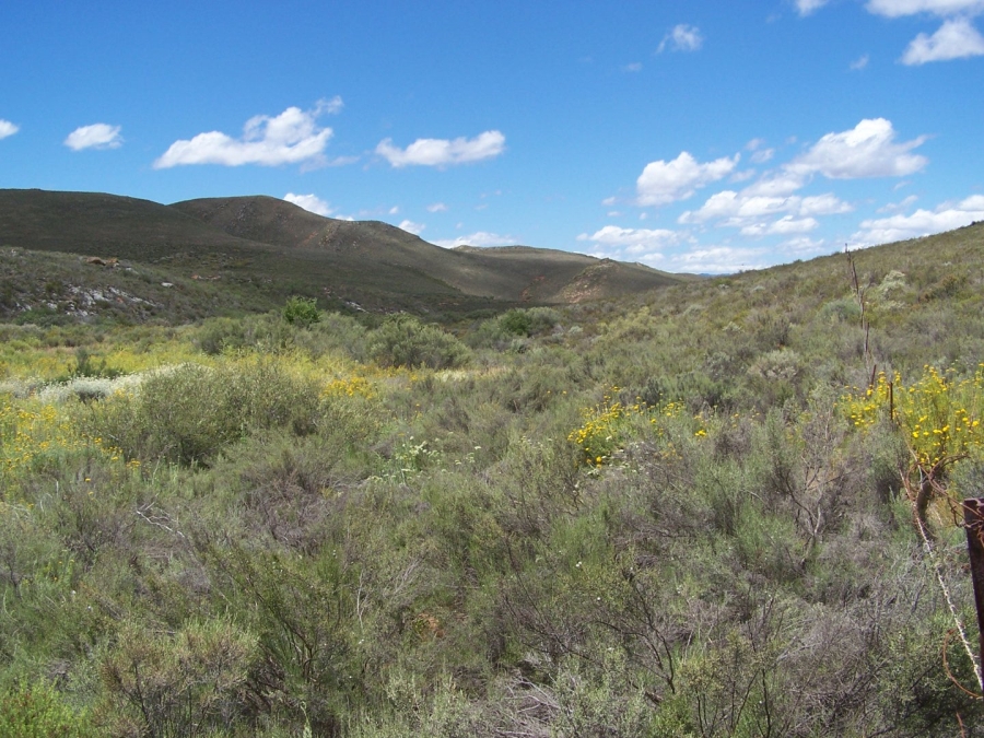 Commercial Property for Sale in Montagu Rural Western Cape